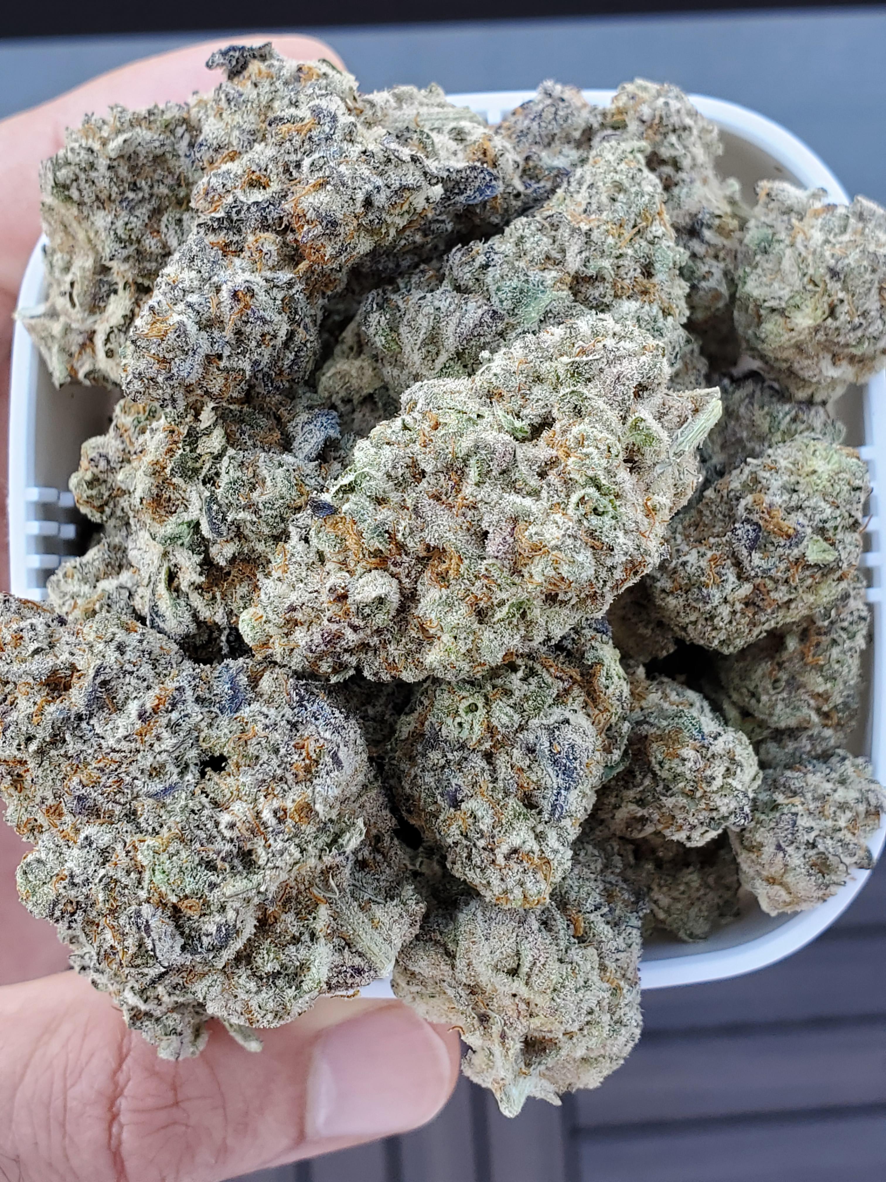 Buy Mcflurry Weed Strain Online in UK Buy Mcflurry Weed Strain Online in UK